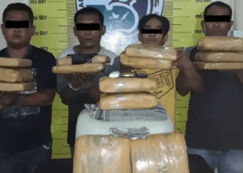 Miliki 15 Kg Ganja, 4 Pria Diringkus Personel Polres Sidimpuan