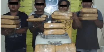 Miliki 15 Kg Ganja, 4 Pria Diringkus Personel Polres Sidimpuan