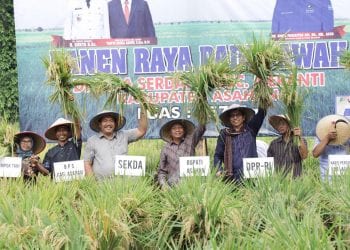 Surya: Luas Lahan Pertanian di Asahan Saat Ini Merosot, Tinggal 8.621 Ha