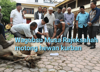 Wagubsu Musa Rajekshah Ngaku Ada Perasaan Tak Tega Saat Sembelih Lembu untuk Kurban