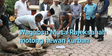 Wagubsu Musa Rajekshah Ngaku Ada Perasaan Tak Tega Saat Sembelih Lembu untuk Kurban