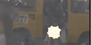 Edan, Pasangan Ini Terekam Video Sedang Berhubungan Badan di Pinggir Jalan