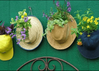 Manfaatkan Topi dan Sepatu Bekas untuk Jadi Media Menanam Bunga