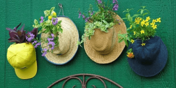 Manfaatkan Topi dan Sepatu Bekas untuk Jadi Media Menanam Bunga