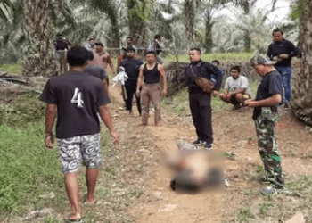 Melawan saat Ditangkap, Ayah yang Hamili Putrinya Tewas Ditembak Polisi