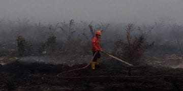 30 Hektare Lahan Gambut di Sei Kepayang Asahan Terbakar