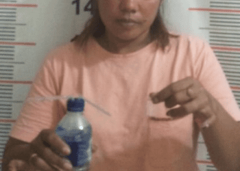 Lagi Nyabu, Ibu Asal Langkat Diringkus Polisi