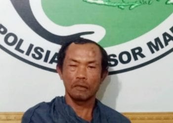 Miliki 5 KG Ganja, Honorer Dinas Kebersihan Diringkus Polres Madina