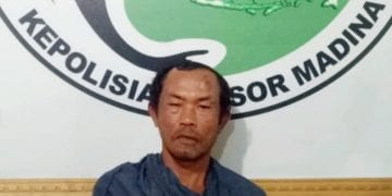 Miliki 5 KG Ganja, Honorer Dinas Kebersihan Diringkus Polres Madina