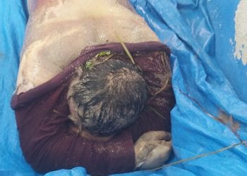 Dua Wartawan di Labuhanbatu Diduga Dibunuh OTK 