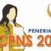 Butuh 500 Pegawai, Pemkab Asahan Akan Rekrut 178 CPNS Tahun 2019