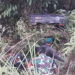 Sopir Mobil Pick Up Asal Tapteng Jatuh ke Jurang di Subulussalam