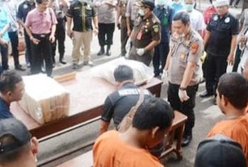 21 Kg Ganja Hasil Tangkapan Selama 3 Bulan Dimusnakan Polres Psp