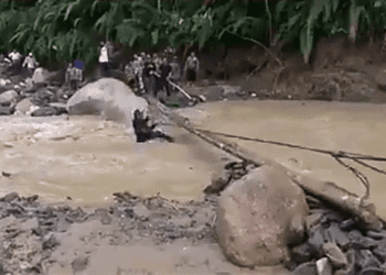 Video, Bupati Labura Jatuh ke Sungai Saat Tinjau Korban Banjir Bandang yang Menghanyutkan 9 Rumah