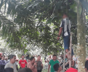 Jenazah korban yang tewas tergantung menjadi tontonan warga Batubara