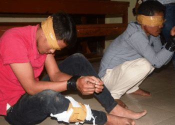 2 Pria Ini Bawa 250 Kg Ganja