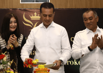 Wagubsu Ijeck Harapkan Stroke Center dapat Tingkatkan Pelayanan Kesehatan di Sumut