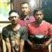 Dua Pelaku Curanmor Di Kecamatan Buntu Pane Diringkus Polisi