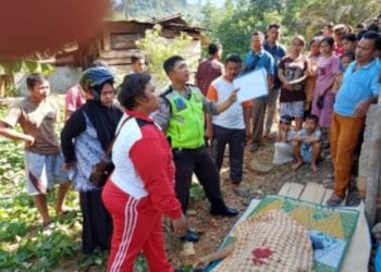 Nofarius Zai Tewas Ditabrak Truk