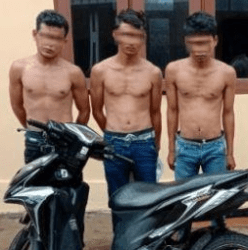 Tiga tersangka pencuri sepedamotor di Labusel.