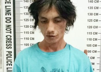 Bawa Ganja saat Narik Mopen di Siantar, Mangatas Gultom Diangkut ke Penjara