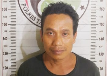 Dikibuskan Simpan Sabu, Ismed alias Is Kontak Diciduk Polisi