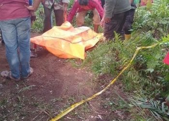 Jenazah siswi SMP di Sei Kepayang Asahan saat dievakuasi.