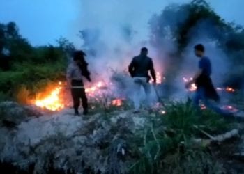 10 Hektar Lahan di Sei Kepayang Asahan Terbakar