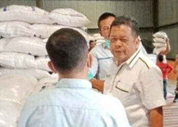 Kepala Dinas Pertanian Labuhanbatu Agus Salim Ritonga saat ikut memantau ketersediaan pangan di Labuhanbatu