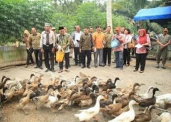 Bupati Labuhanbatu H Andi Suhaimi Dalimunthe ST MT saat berkunjung ke Kecamatan Pangkatan.