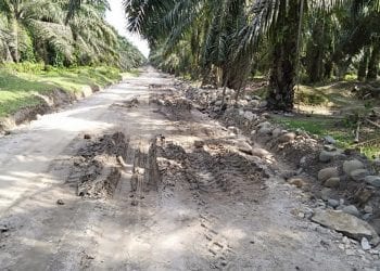 Tak Ada Papan Proyek, Pengerasan Jalan Akses Produksi PTPN IV Pulu Raja Dipertanyakan Warga