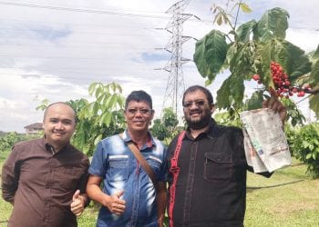 KPAH: Tanaman Guarana Masa Depan Pertanian Indonesia