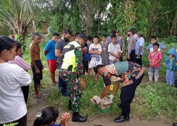 Siapa Orangtua yang Tega Buang Bayi Ini di Sungai Silau Sei Renggas Asahan