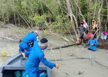 2 Hari Ditelantarkan di Hutan Bakau di Sei Kepayang Asahan, 13 Orang TKI Ilegal Kelaparan dan Kehausan