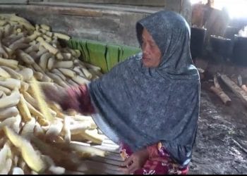 IWO: Nurhati Kuli Pengupas Singkong di Bogor Nantikan Bansos dan BLT Pemerintah