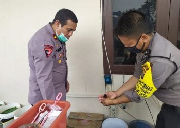 Berawal dari 4 Pasang, Personel Bhabinkamtibmas Polsek Medan Helvetia Berhasil Membudidayakan Ikan Cupang