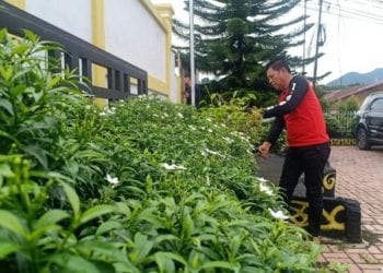 Jalankan Instruksi Bupati Labuhanbatu, Camat Rantau Utara Jaga Kebersihan Kantor