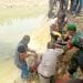 Sehari Tak Pulang, Warga Bandar Pulau Ditemukan Tewas Mengambang di Bekas Galian Tanah