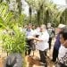 Seluas 77 Ha Lahan Tanaman Sawit Masyarakat di Desa Tanjung Siram, Dapat Program PSR