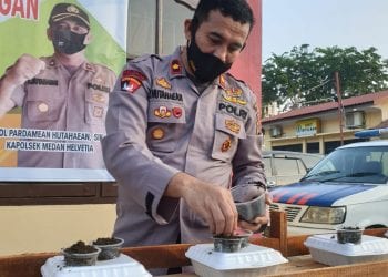 Kapolsek Helvetia Melakukan Perawatan Kangkung Styrofoam