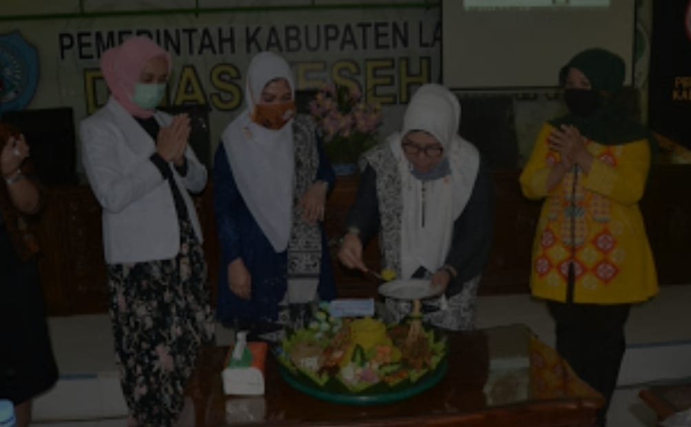 Ketua TP PKK Labuhanbatu Hj.Rosmanidar saat menghadiri acara IBI.