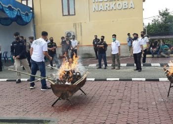 Polres Labuhanbatu Musnahkan Belasan Kilogram Barang Bukti Narkotika 