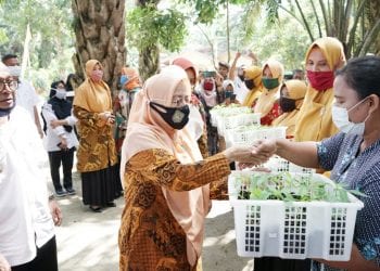 Optimalisasi Pekarangan Rumah, Pemkab Asahan Laksanakan Gertam Cabai
