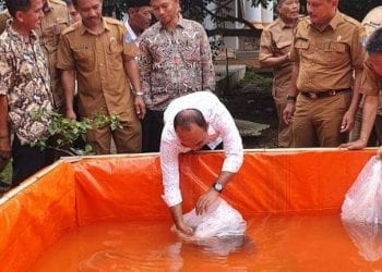 Salurkan Bibit Ikan ke Masyarakat, Bupati Labuhanbatu Buka Peluang Usaha 
