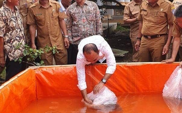 Bupati Labuhanbatu H Andi Suhaimi Dalimunthe ST MT saat menebar bibit ikan.