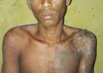 Pencuri Sawit Ini Cangkul Penjaga Kebun