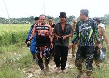 Bupati Labuhanbatu Tinjau Lokasi Lahan Pertanian di Selat Beting