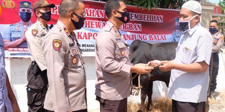 (Ignatius Siagian/taslabnews) Suasana penyerahan 2 sapi kepada panitia di 2 Masjid di Kota Tanjungbalai.