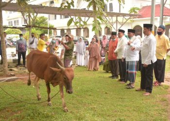 Walikota Tanjungbalai Saksikan Penyembelihan Hewan Kurban 