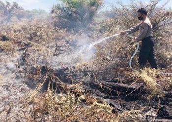 Tim Gabungan Berhasil Atasi Kebakaran Lahan di Muara Manompas